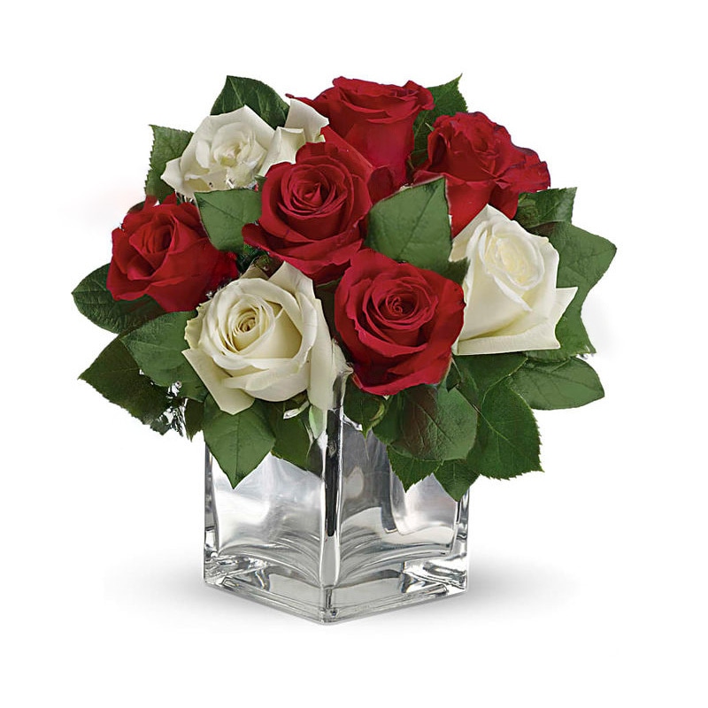 Snowy Night Red and White Roses by Teleflora