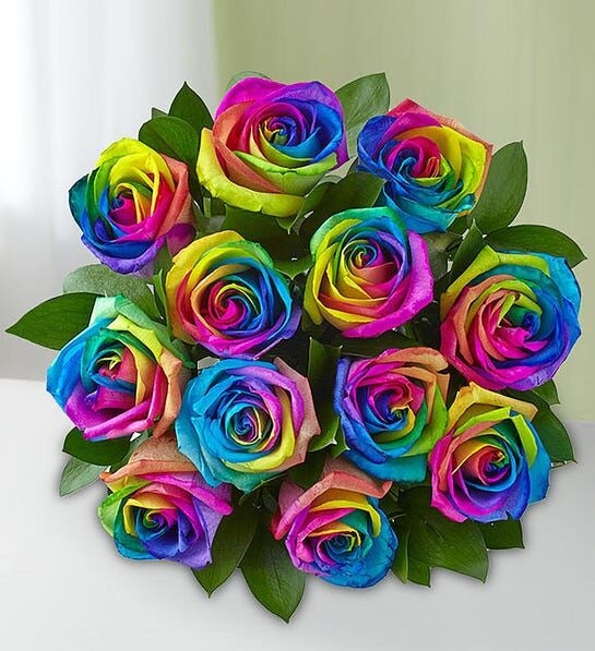 Joy of Rainbow Roses