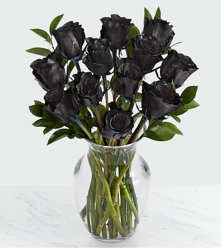 Black Premium Roses