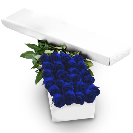 Extreme Blue Rose Bouquet