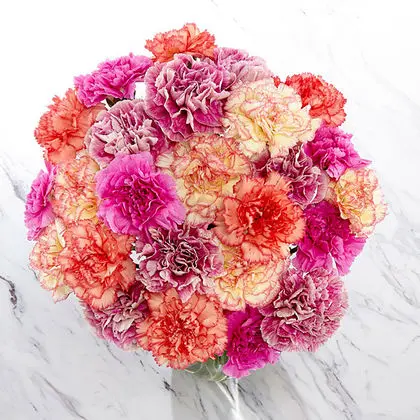 Rainbow Carnations Bouquet
