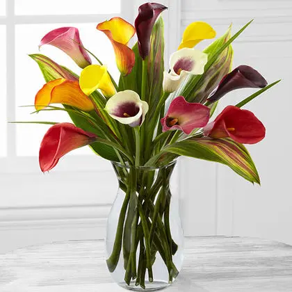 Captured Color Calla Lily Bouquet
