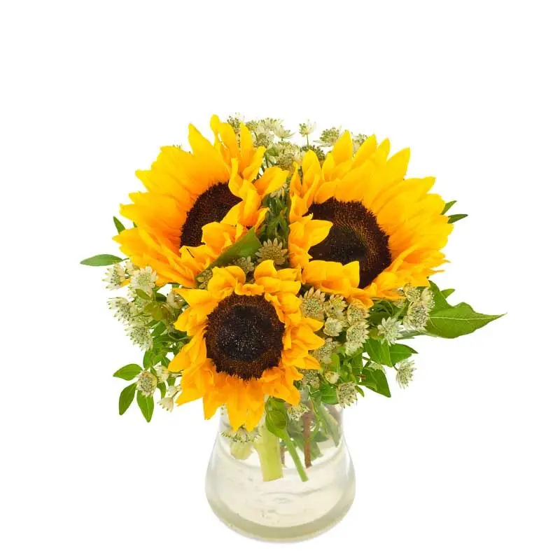 Endless Summer Sunflower Bouquet