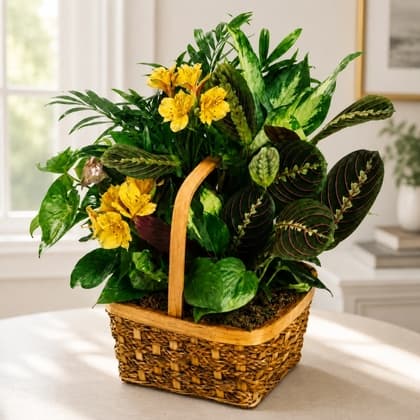 A Bit of Sunshine Basket