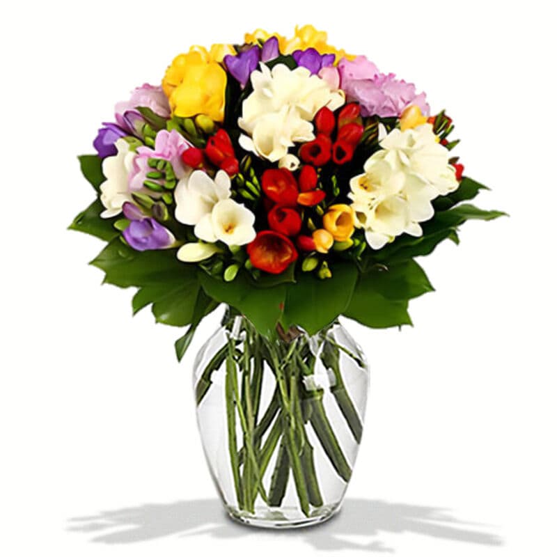 Mix Colour Freesias