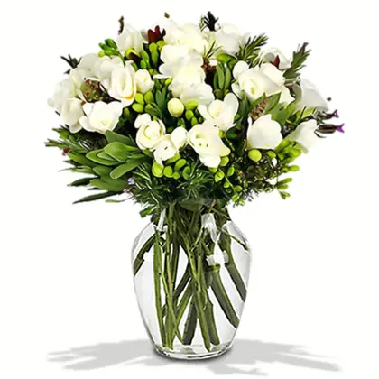 Freesias in Vase
