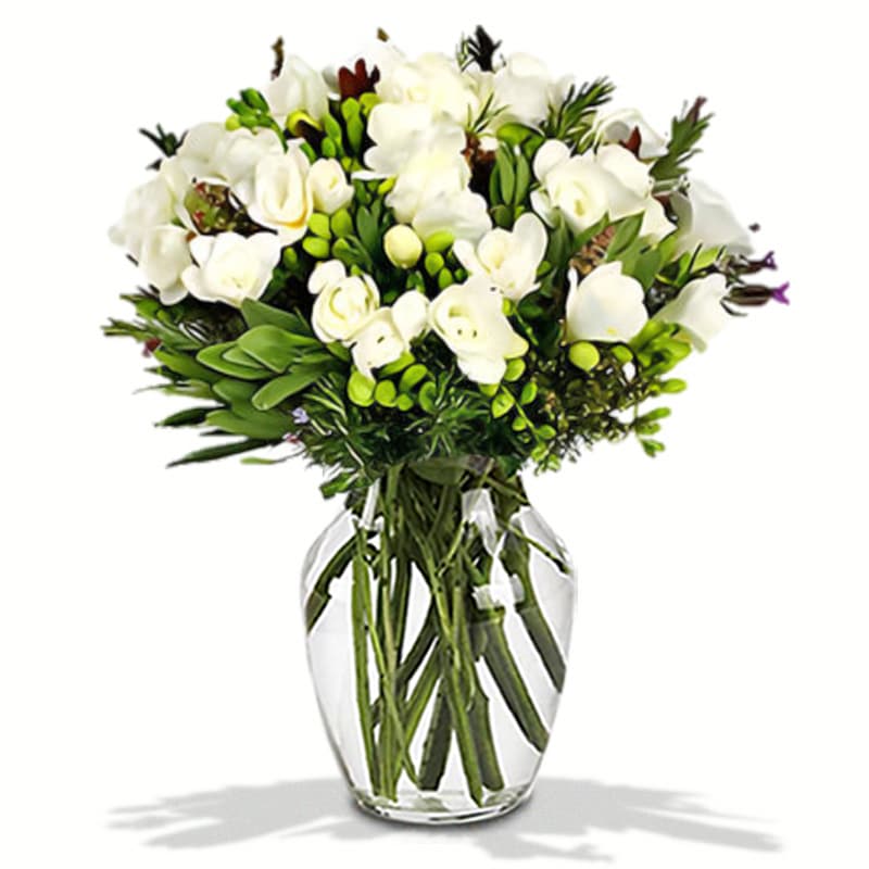Freesias in Vase