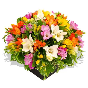 Freesia Arrangement