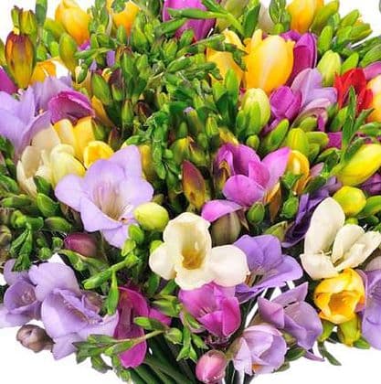 Freesia Arrangement