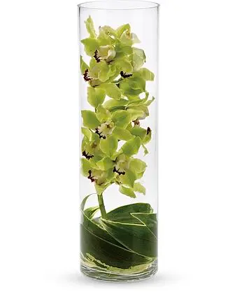 Teleflora Zensational Cymbidium Orchid