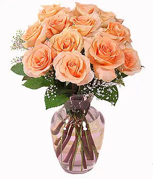 12 Peach Roses in a Vase