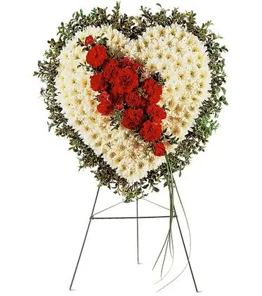 From the Heart
