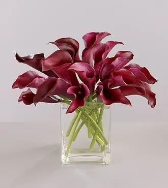 Red Calla Lillies