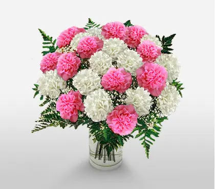 Carnations Vase Arrangement