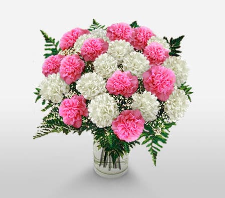 Carnations Vase Arrangement