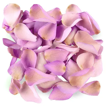 Lavender Rose Petals