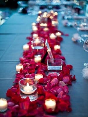 Red Rose Petals