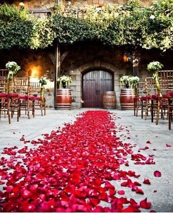 Red Rose Petals