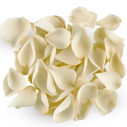 Cream Rose Petals