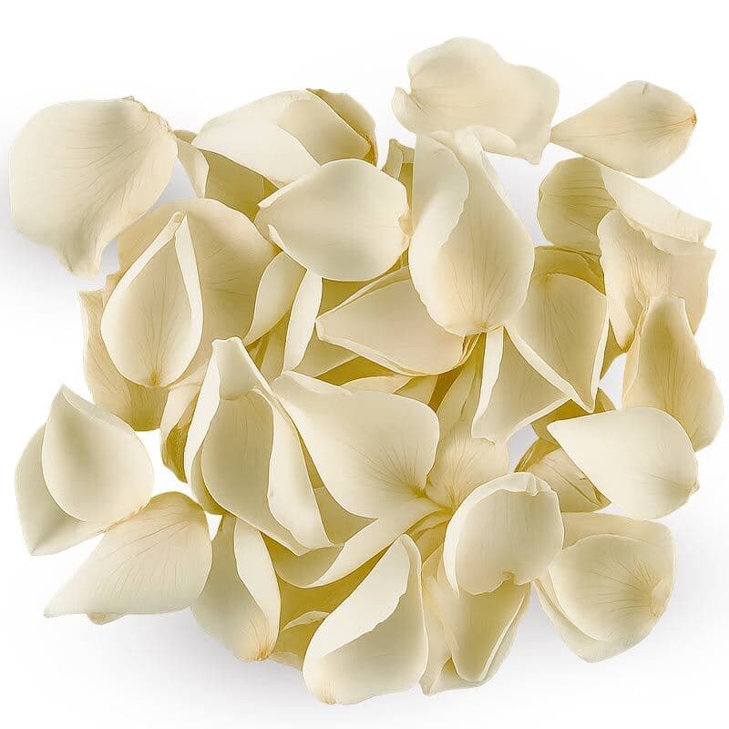 Cream Rose Petals