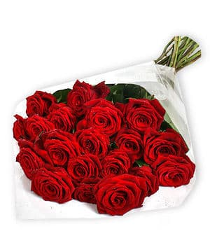 24 Red Roses