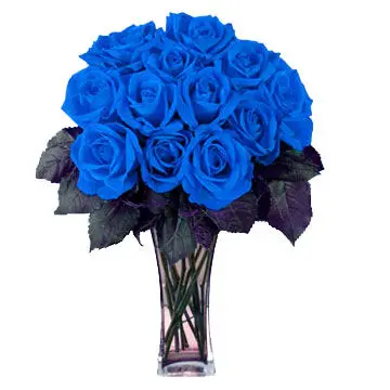 18 Blue Roses in a Vase