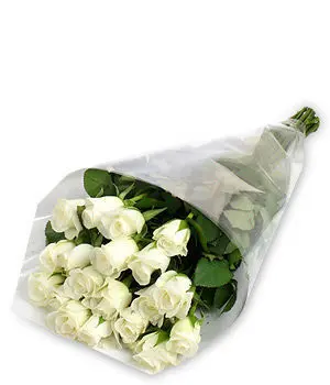 24 White Roses