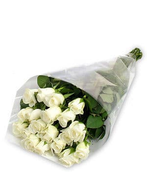 24 White Roses