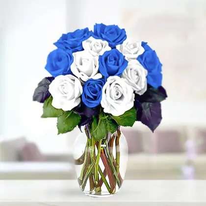 Blue and White Roses in a Vase