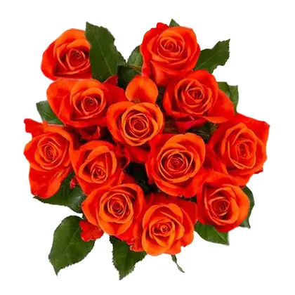 Simply Orange Rose Bouquet