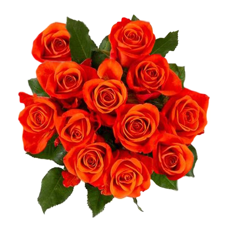 Simply Orange Rose Bouquet