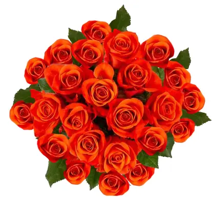Simply Orange Rose Bouquet