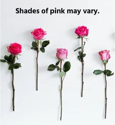 Simply Pink Roses Bouquet