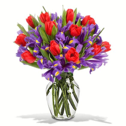 Bouquet of Irises and Tulips in a Vase