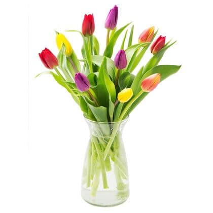 Assorted Tulips in Vase