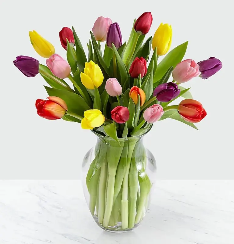 Assorted Tulips in Vase