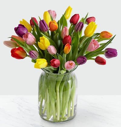 Assorted Tulips in Vase