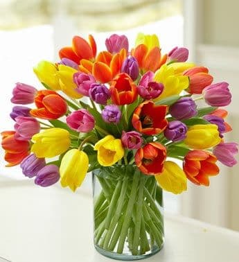 Assorted Tulips in Vase