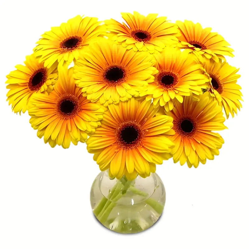 Yellow Gerbera Daisies in Vase