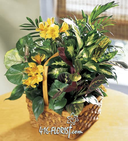 Sympathy Funeral Gardening Basket