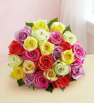 24 Assorted Color Roses