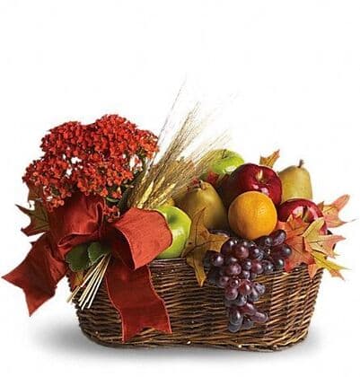 So Delicious Fruits