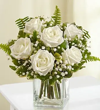 Just Flower Messages White Roses