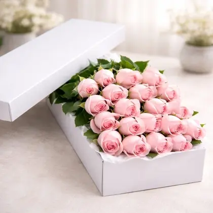 2 Dozen Premium Pink Roses in a Box