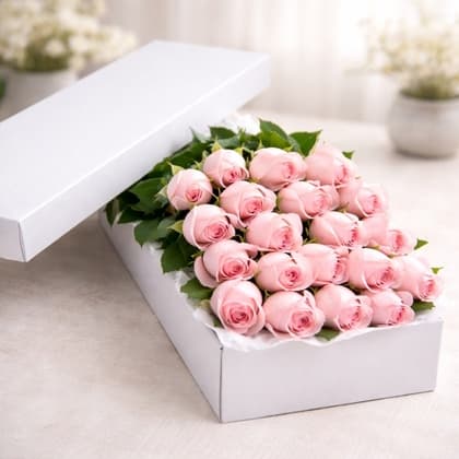 2 Dozen Premium Pink Roses in a Box