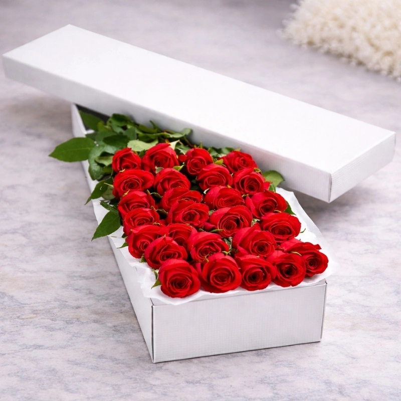 2 Dozen Premium Red Roses in a Box