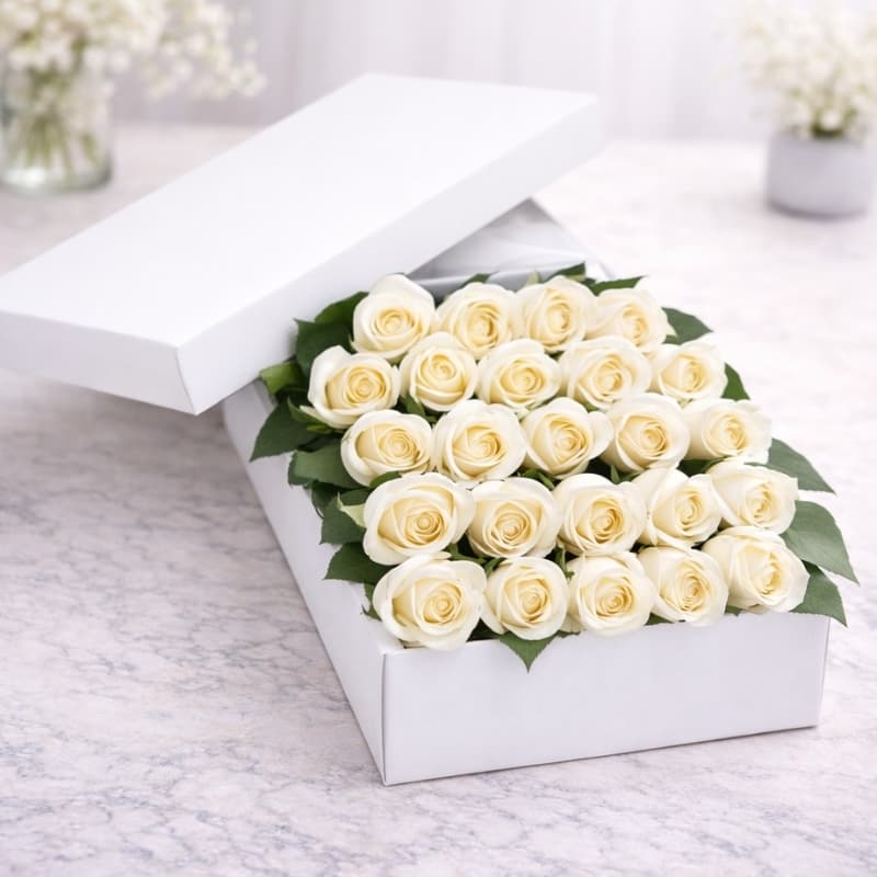 2 Dozen White Roses in a Box