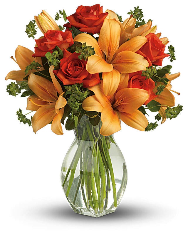 Fiery Lily and Rose
