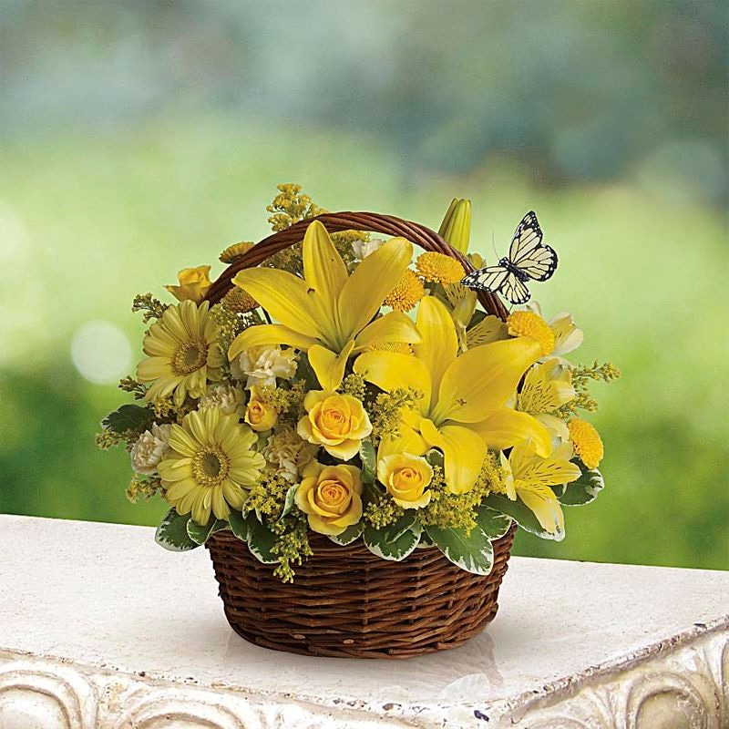 Basket Full of Wishes