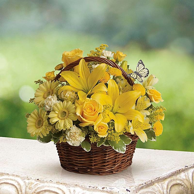 Basket Full of Wishes